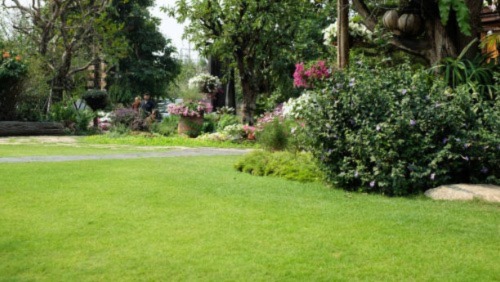 7 Unique Tucson Backyard Ideas (You’ll be Surprised)